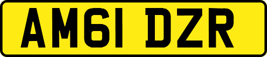 AM61DZR