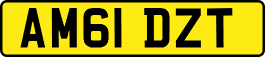 AM61DZT