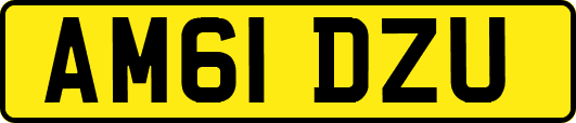 AM61DZU