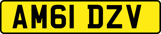 AM61DZV