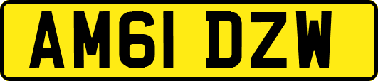 AM61DZW