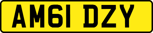 AM61DZY