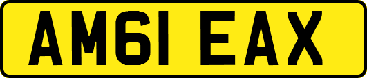 AM61EAX