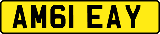 AM61EAY