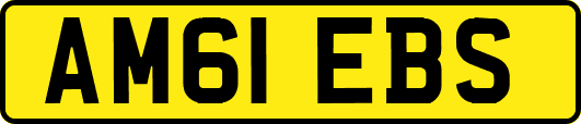 AM61EBS