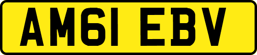 AM61EBV