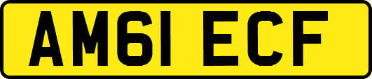 AM61ECF