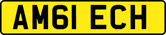 AM61ECH