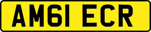 AM61ECR