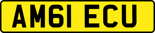 AM61ECU