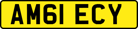 AM61ECY