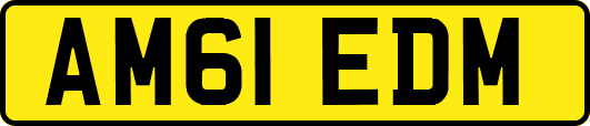 AM61EDM