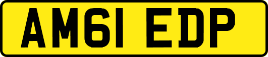 AM61EDP