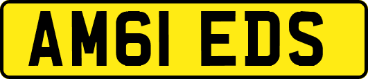 AM61EDS