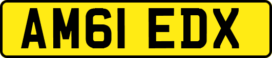 AM61EDX