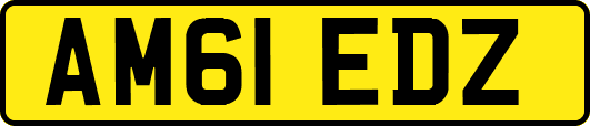 AM61EDZ