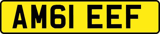 AM61EEF