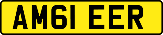 AM61EER