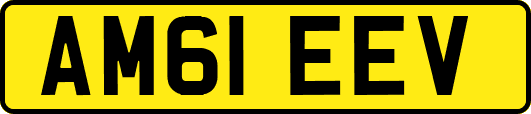 AM61EEV