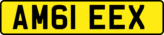AM61EEX