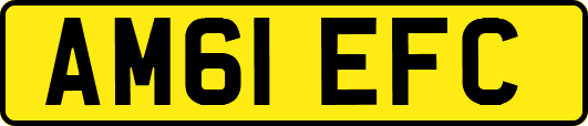 AM61EFC