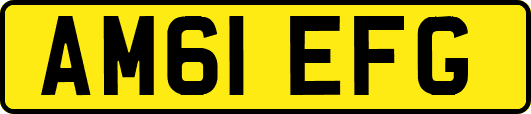 AM61EFG