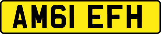 AM61EFH
