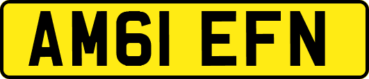 AM61EFN