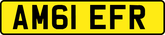 AM61EFR