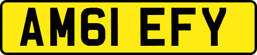 AM61EFY