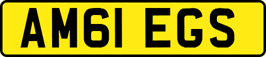 AM61EGS