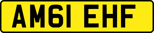 AM61EHF