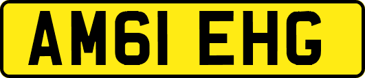 AM61EHG