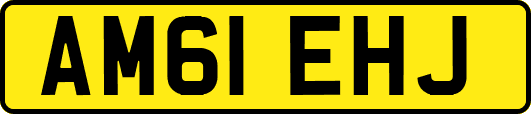 AM61EHJ