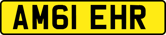 AM61EHR