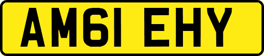 AM61EHY