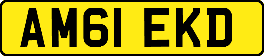 AM61EKD