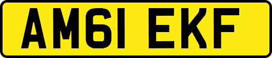 AM61EKF