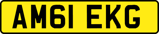 AM61EKG