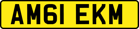 AM61EKM