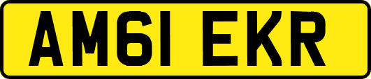 AM61EKR
