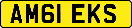 AM61EKS