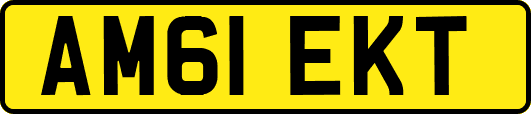 AM61EKT