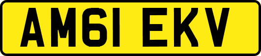 AM61EKV