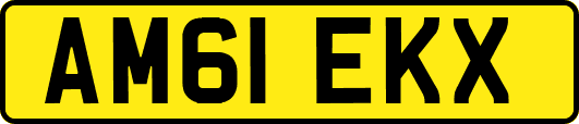 AM61EKX