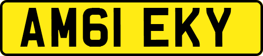 AM61EKY
