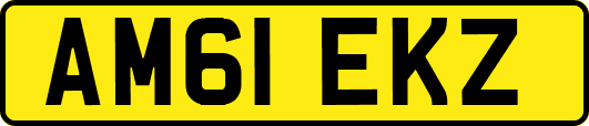 AM61EKZ