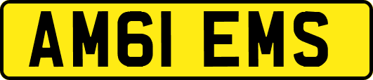 AM61EMS