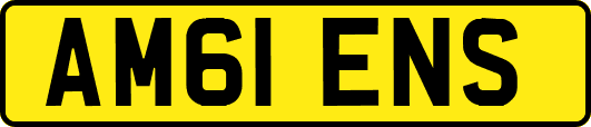 AM61ENS