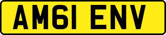 AM61ENV